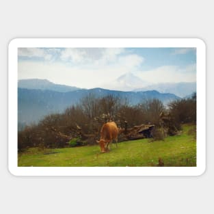 Landscape of a scenic green meadow and a grazing cow Sticker